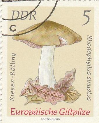 DDR - na doplnenie - flóra - Známky Nemecko