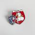 Futbalový odznak FK Pardubice Česká republika - Odznaky, nášivky a medaily