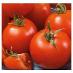 tyčková paradajka Tornádo - sadenice - Dom a záhrada