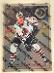 Chris Chelios 1996-97 Leaf Preferred Steel 7 BLACKHAWKS - Hokejové karty