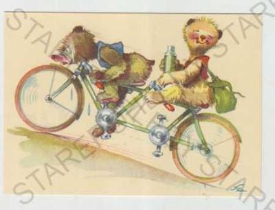 Salač, medvede, humor, bicykel, kolorovaná