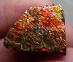 Ammolit - Amolit - Vzácny Drahokam - Zberateľský - 4,67 g Kanada - TOP - Minerály a skameneliny