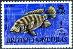 BRITISH HONDURAS - britská kolónia - 1968 -1972 - Divoké zvieratá - Tematické známky