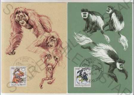 4x Zvieratá, opice, orangutan, Guereza, Katta, Mand - Pohľadnice