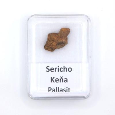 Pallasit - Sericho - 3,10 gramov