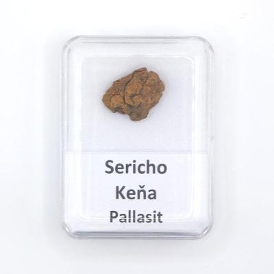 Pallasit - Sericho - 3,02 gramov