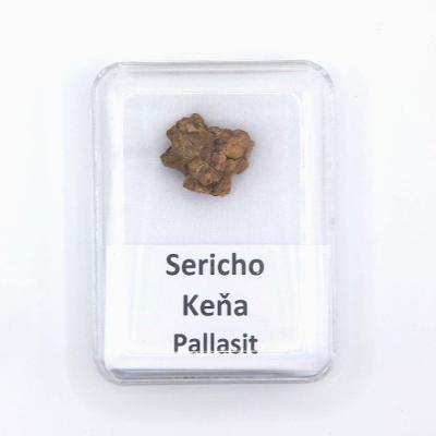 Pallasit - Sericho - 3,00 gramov