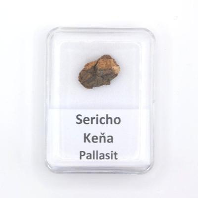 Pallasit - Sericho - 2,39 gramov