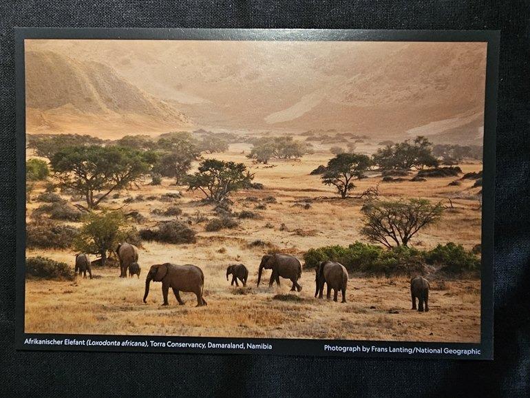 Namíbia, Torra Conservancy - Pohľadnice