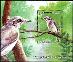 SRI LANKA - býv. britská kolónia - 2021 - Endemickí vtáci Srí Lanky - Tematické známky