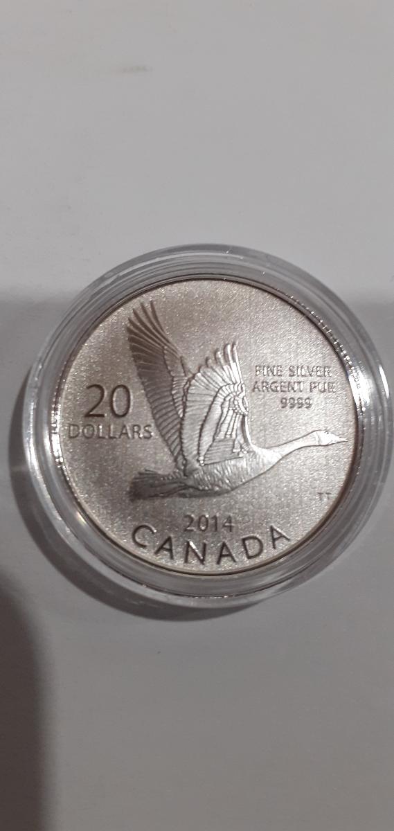 Nádherná striebra investičná minca Kanadská divá hus - Numizmatika