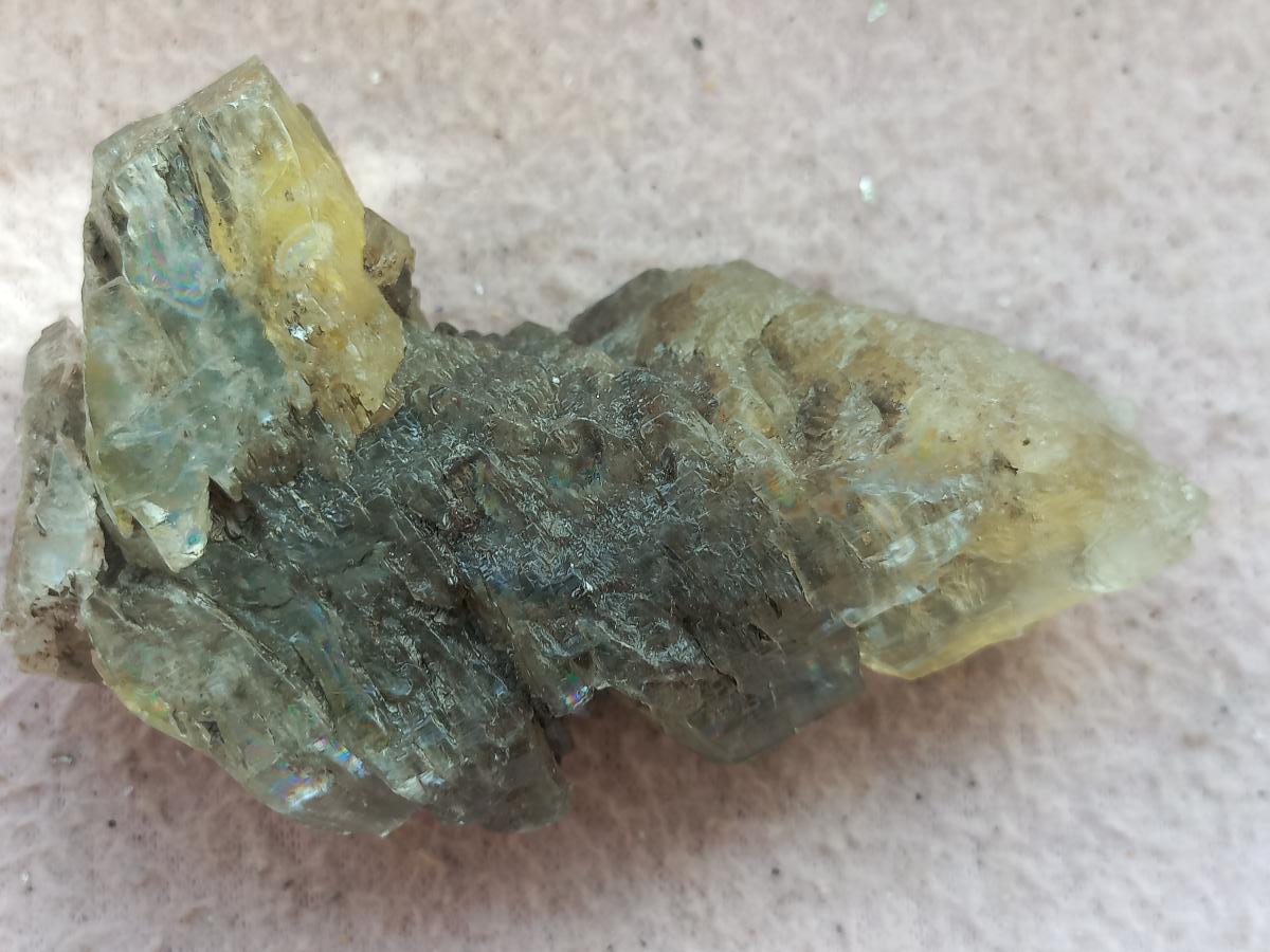 Sadrovec - Bielina - Minerály a skameneliny
