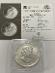 Strieborná minca 1 Oz, Kanada, javorový list 2010 - Numizmatika
