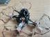 FPV dron Firefly 1S DC16 Nano Baby Quad Analóg V2.0 BNF ELRS + BATÉRIE - Elektro