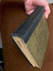 Starožitná kniha - Zlatá kniha pohádek Boženy Němcové - 1931 