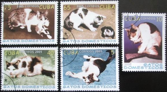 Kuba 2005 Domáce mačky Mi# 4700-04 0258 - Známky fauna