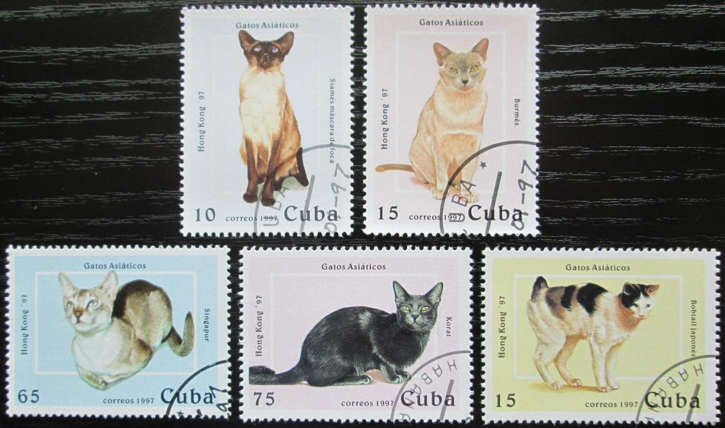 Kuba 1997 Ázijské mačky Mi# 3988-92 0279 - Známky fauna