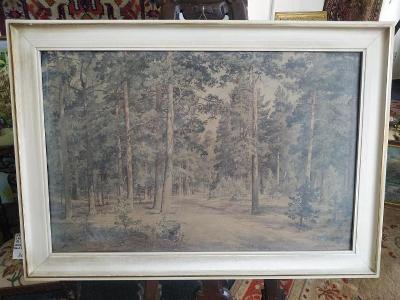 St. obraz borovicový les, Šiškin, reprodukcia č. 1000210-1