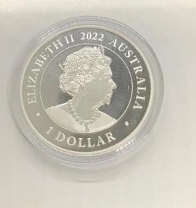 Strieborná minca Elizabeth II 1 dolár 2022 , 1 OZ rýdzosť 999/1000