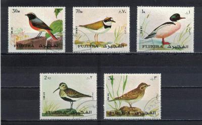 Fudžajra 1972 Birds (1972)
