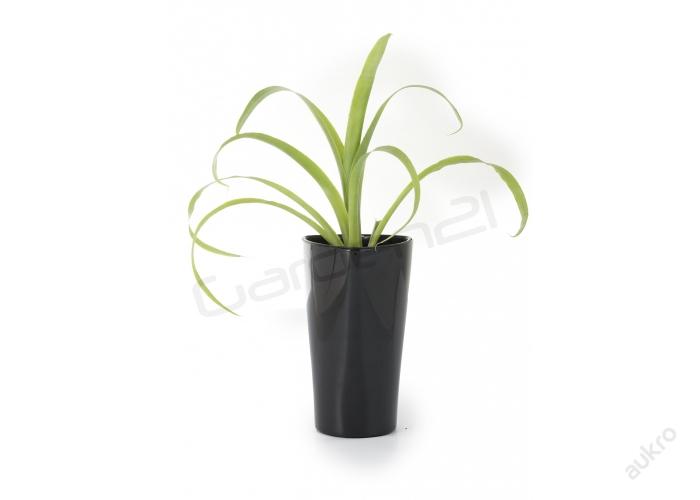 Samozavlažovací květináč G21 Trio mini černý 15 cm - Příslušenství k rostlinám