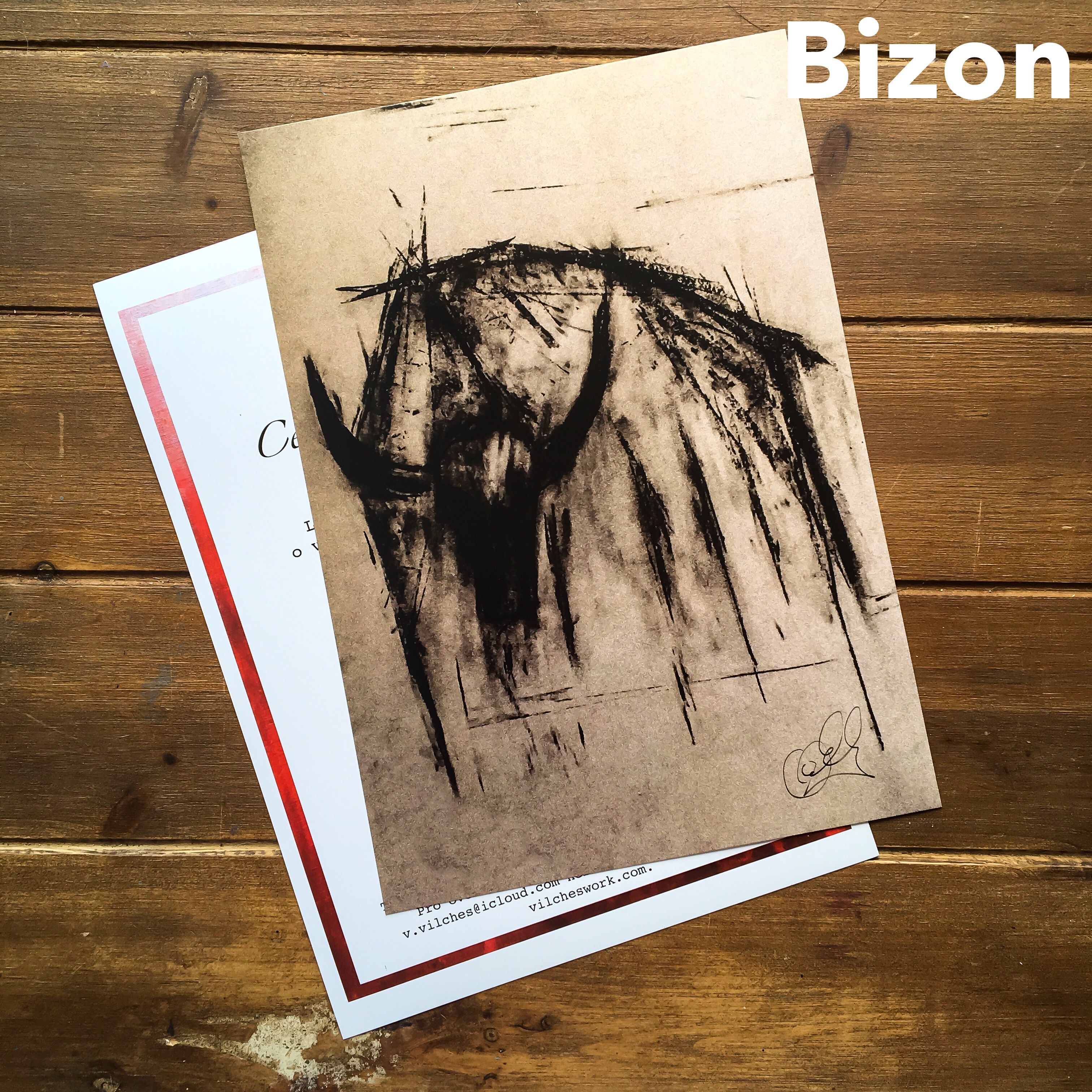 Print kresby bizona na 350mg křídovém papíře  A4 - Umění