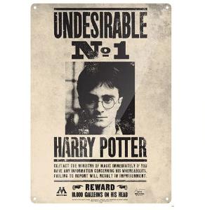 Harry Potter - kovová cedule 20 x 30 cm