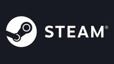 Steam - Humanity Asset