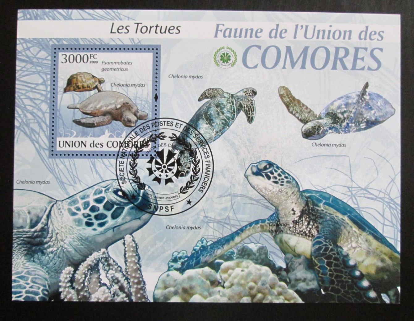 Komory 2009 Želvy Mi# Block 512 Kat 15€ 1544 - Tematické známky