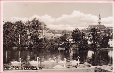 Sulzbach Rosenberg * park, rybník, labutě, část města * Německo * Z970