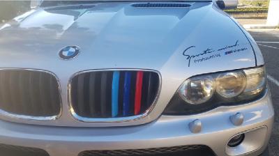 BMW trikolora X5 e53 