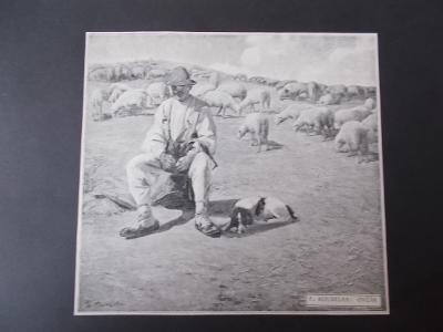 Koudelka Ovčák bača ovce pes veduta rytina