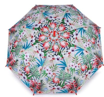 Nový deštník