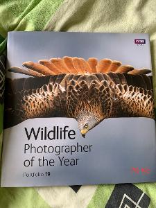Wildlife photographer of the year 2009