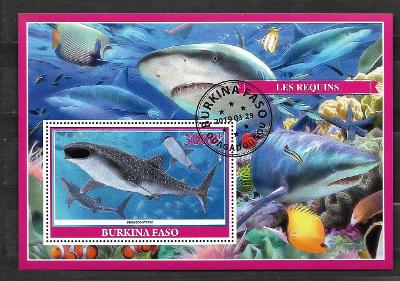 Burkina Faso 2019 - Žralok obrovský
