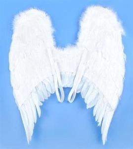 Angels Wings Křídla anděl péřová 53 x 60cm + dárek