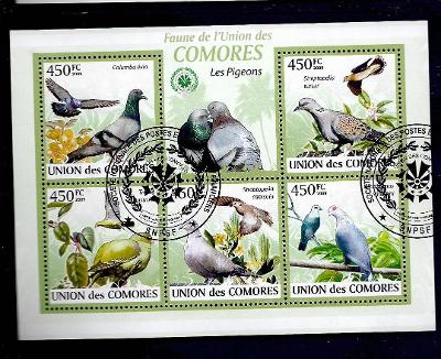 Komory 2009-holub skalní+modrobřichý+mohelský,hrdlička damarská+divoká
