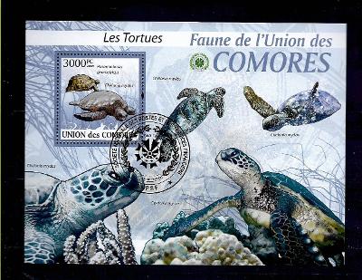 Komory 2009 - želva kreslená, kareta obrovská