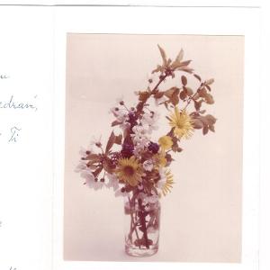 Květina , fotografie v přání