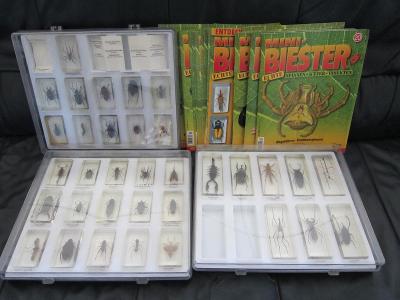 Velká sbírka hmyz(u)brouk, pavouk Mini Biester 34ks+časopisy/110x45x27