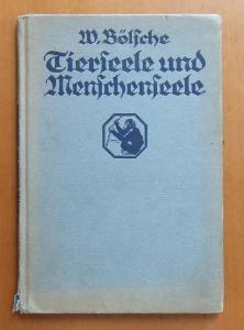 Tierseele und Menschenseele - Bölsche, W. (1924)