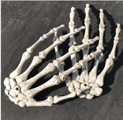 Lidské ruce - modely kostí z kostry 1:1 dekorace