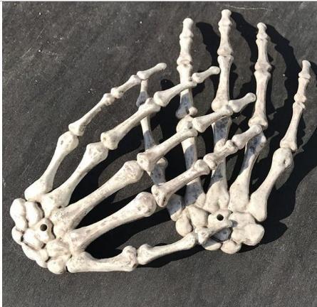 Lidské ruce - modely kostí z kostry 1:1 dekorace - Sběratelství