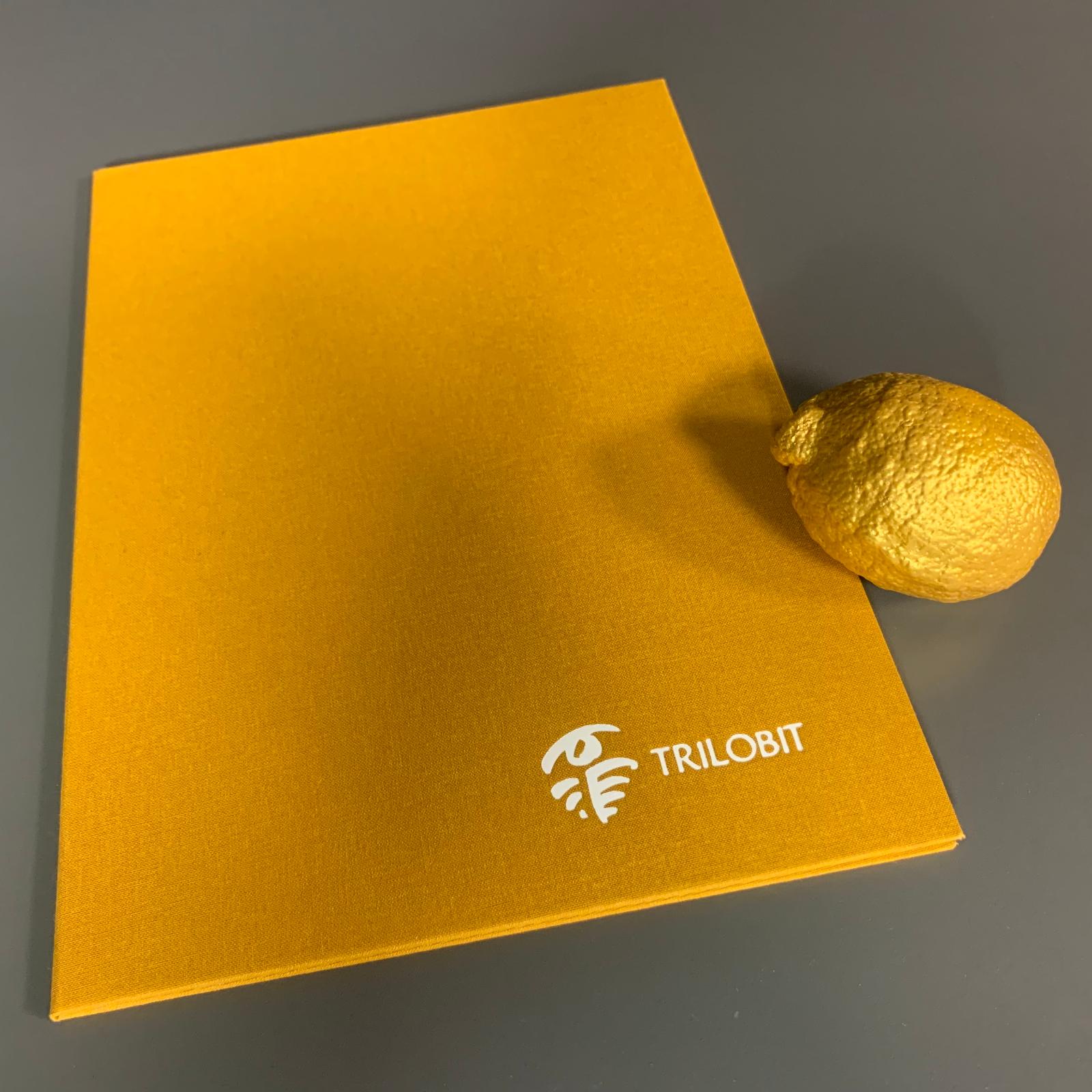 Trilobit - Zlatý citron 2020 Luboši Xaveru Veselému - Sběratelství