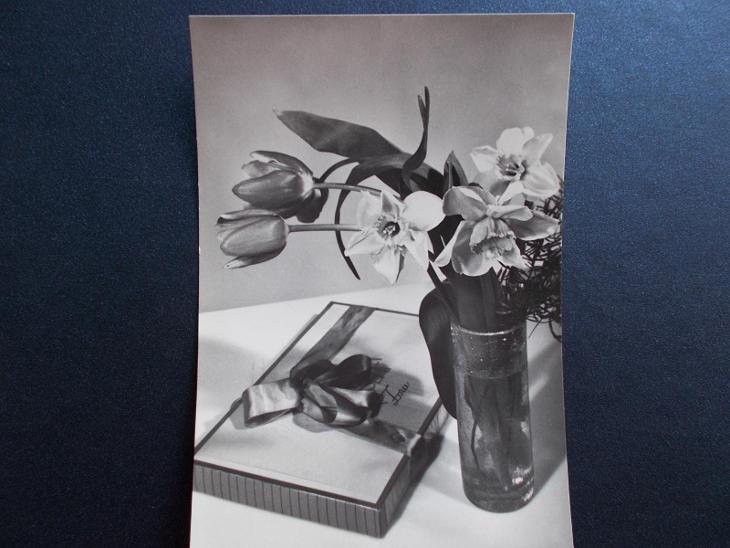 Umělec. pohlednice přání zátiší květy Zora Bonboniéra MDŽ foto Tachezy - Sběratelství