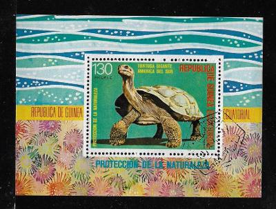 Rovníková Guinea 273 - Sloní želva
