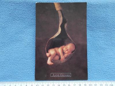 Umělecká pohlednice narození dítěte foto Anne Geddes 1999 palma list